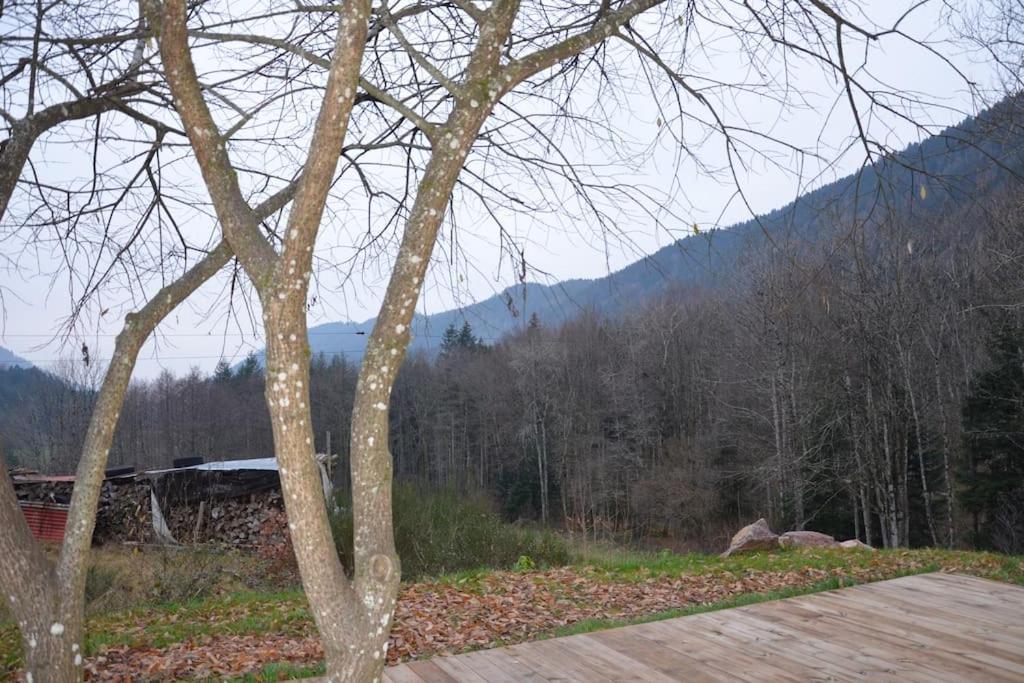 Villa A La Cheneau à Rochesson Extérieur photo